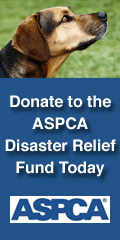 ASPCA.gif image by Tuscanyblue