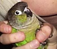 BABY.jpg
